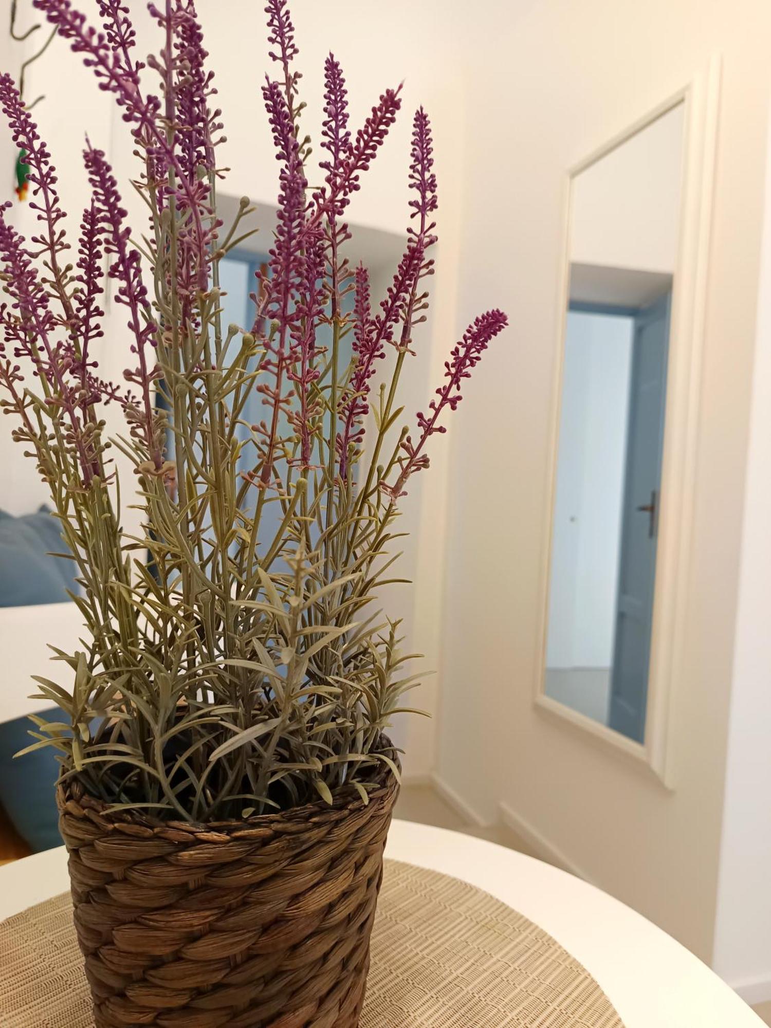 B&B Sedilequattro 卡斯泰拉内塔 外观 照片